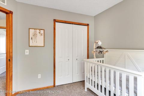 203 S Ruby Ct, Morrice, MI 48857 photo 27