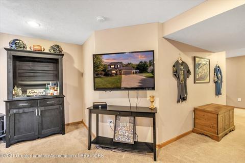 203 S Ruby Ct, Morrice, MI 48857 photo 34