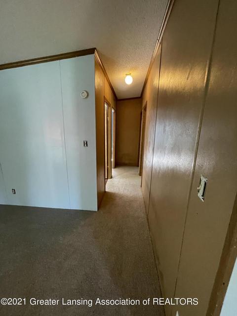 230 N 2nd St, Stanton, MI 48888 photo 14