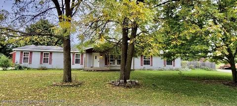 230 N 2nd St, Stanton, MI 48888 photo 26