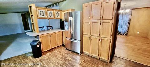 230 N 2nd St, Stanton, MI 48888 photo 39