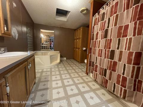 230 N 2nd St, Stanton, MI 48888 photo 21