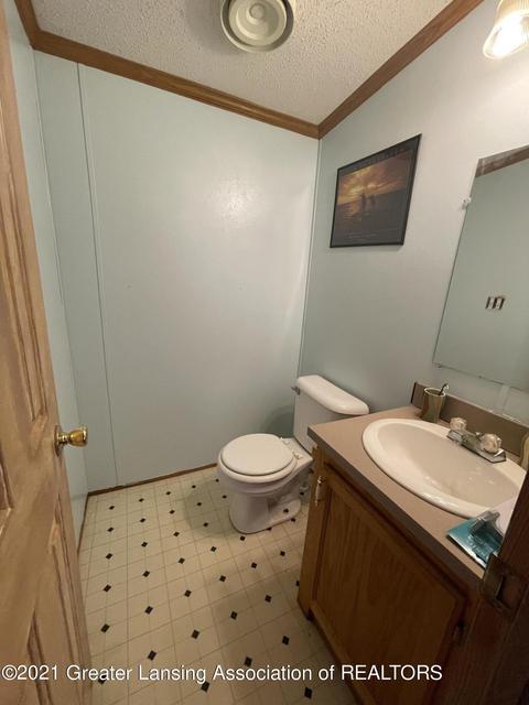230 N 2nd St, Stanton, MI 48888 photo 20