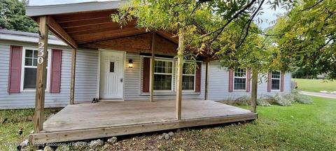 230 N 2nd St, Stanton, MI 48888 photo 28