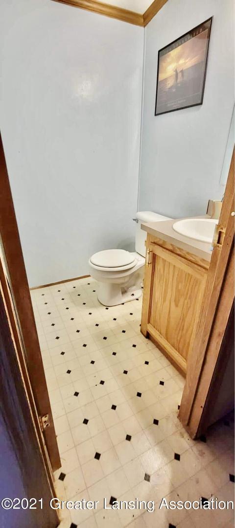 230 N 2nd St, Stanton, MI 48888 photo 33