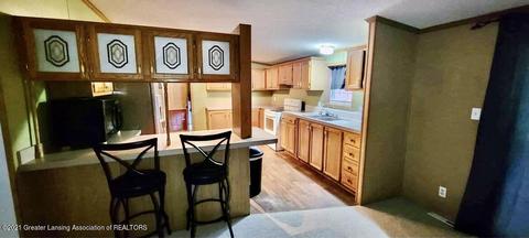 230 N 2nd St, Stanton, MI 48888 photo 36