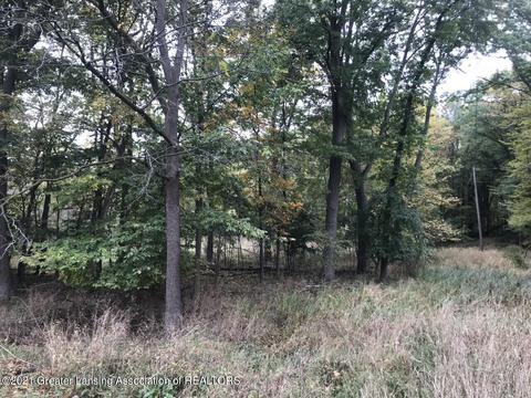 0 Cornell Rd, Okemos, MI 48864 photo 4