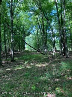 0 Cornell Rd, Okemos, MI 48864