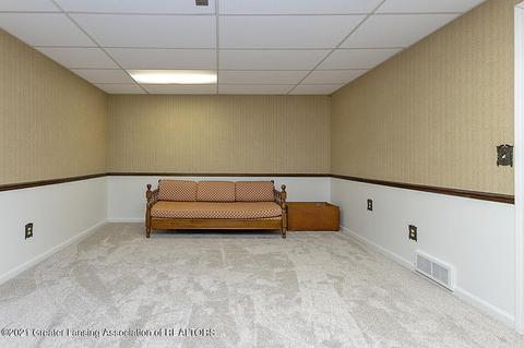 13134 Farm Ln, Dewitt, MI 48820 photo 27