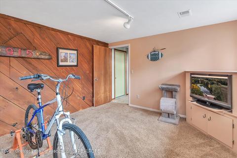 1495 W Chadwick Rd, Dewitt, MI 48820 photo 23
