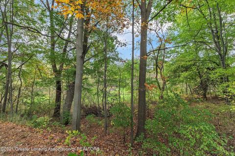 1495 W Chadwick Rd, Dewitt, MI 48820 photo 64