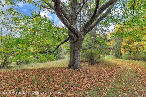 1495 W Chadwick Rd, Dewitt, MI 48820 photo 57