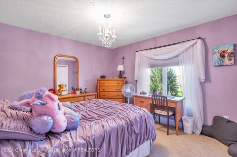 11704 Tara Ct, Dewitt, MI 48820 photo 30