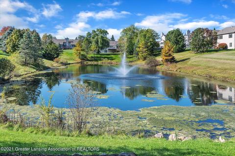 11704 Tara Ct, Dewitt, MI 48820 photo 45