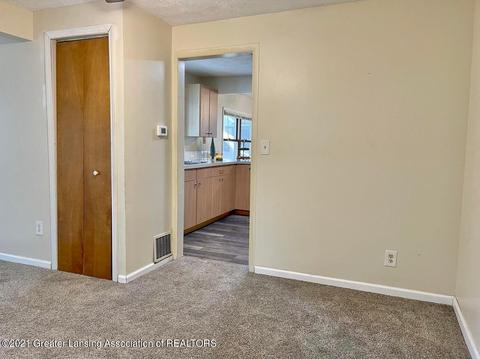 215 Wilson St, Dewitt, MI 48820 photo 8