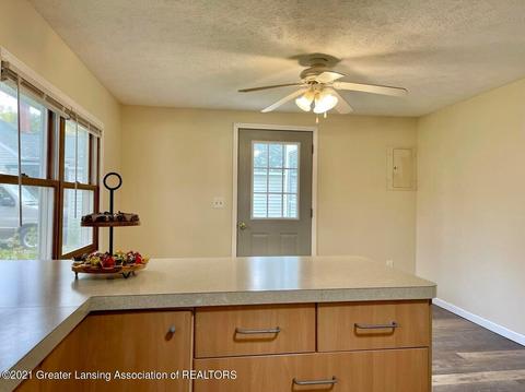 215 Wilson St, Dewitt, MI 48820 photo 6