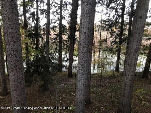 1218 Academic Way, Haslett, MI 48840 photo 17