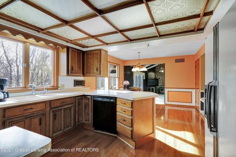 4085 Driftwood Dr, Dewitt, MI 48820 photo 9