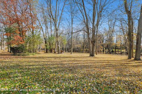 4085 Driftwood Dr, Dewitt, MI 48820 photo 38