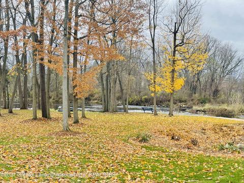 140 Pine St, Dimondale, MI 48821 photo 16