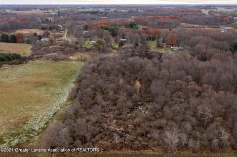 861 Wolverine Rd, Mason, MI 48854 photo 42