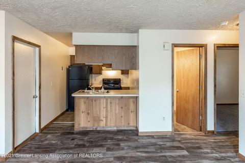 204 E Chimney Hill Dr, Dewitt, MI 48820 photo 9