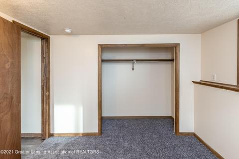 204 E Chimney Hill Dr, Dewitt, MI 48820 photo 20