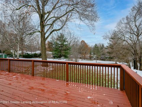 442 E Washington St, Dimondale, MI 48821 photo 33