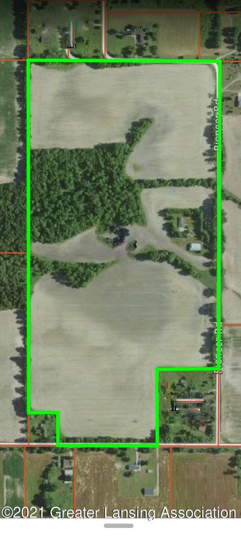 10782 Pioneer Rd, Eagle, MI 48822 photo 2