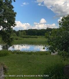 6110 Clark Rd, Bath, MI 48808 photo 5