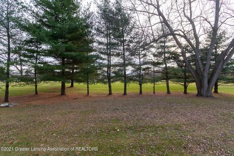 3455 Parkwood Drive Dr, Dewitt, MI 48820 photo 6