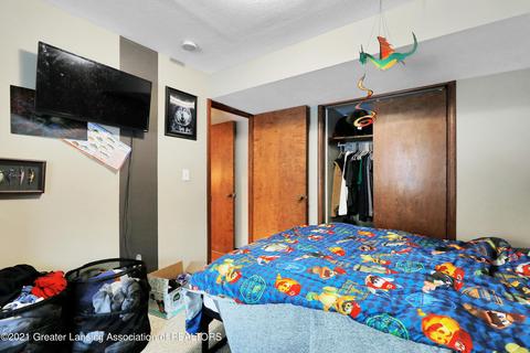 3363 Silverspring Dr, Dewitt, MI 48820 photo 23