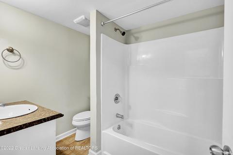 315 N Hickory, Dewitt, MI 48820 photo 23