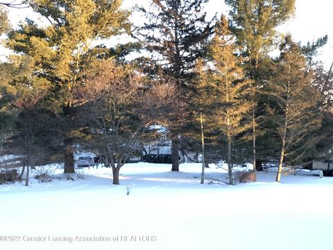 13764 Hamersley Dr, Bath, MI 48808 photo 8