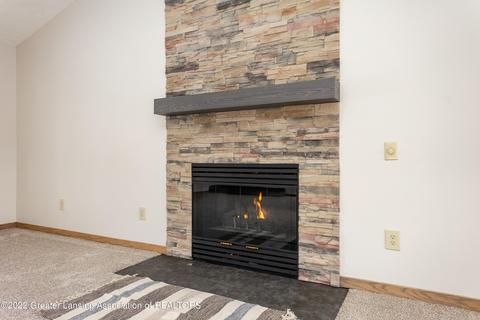 5424 E Clark Rd, Bath, MI 48808 photo 17