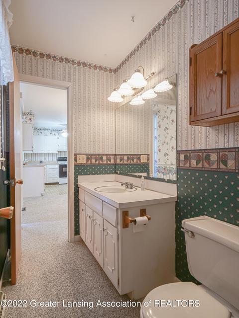 809 E Webb Dr, Dewitt, MI 48820 photo 19
