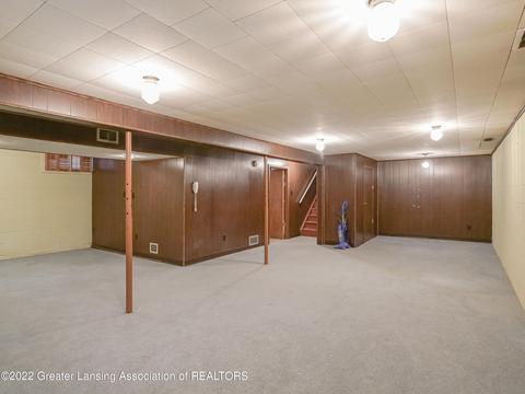 809 E Webb Dr, Dewitt, MI 48820 photo 21