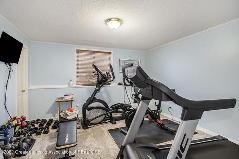 2561 Julie Way, Dewitt, MI 48820 photo 33