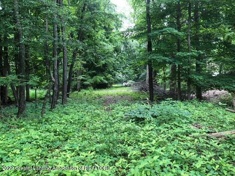 0 Driftwood Dr, Dewitt, MI 48820