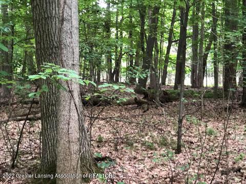00 Driftwood Dr, Dewitt, MI 48820