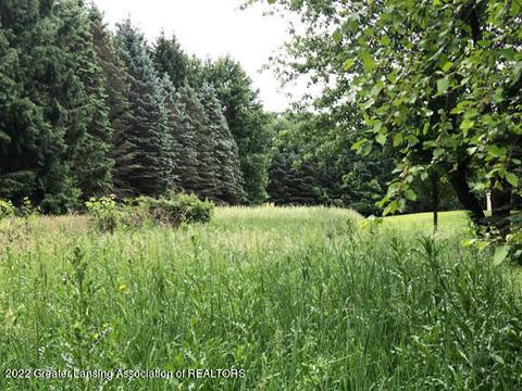 00 Driftwood Dr, Dewitt, MI 48820 photo 4