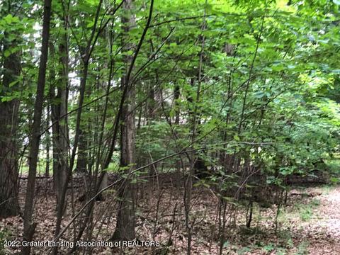 00 Driftwood Dr, Dewitt, MI 48820 photo 2