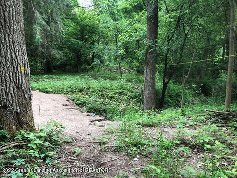 00 Driftwood Dr, Dewitt, MI 48820 photo 5