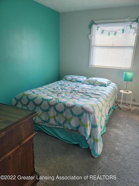 2995 Pine Tree Rd, Lansing, MI 48911 photo 24