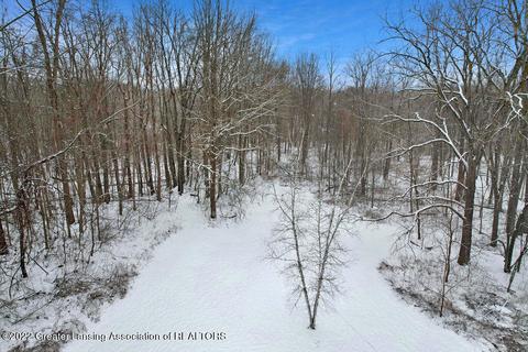 2995 Pine Tree Rd, Lansing, MI 48911 photo 29
