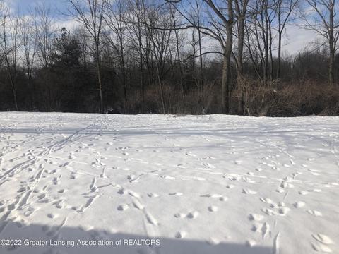 5555 Starflower Dr, Haslett, MI 48840 photo 8
