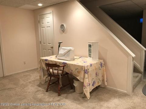 3942 White Pine Dr, Dewitt, MI 48820 photo 27