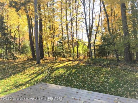 3942 White Pine Dr, Dewitt, MI 48820 photo 30