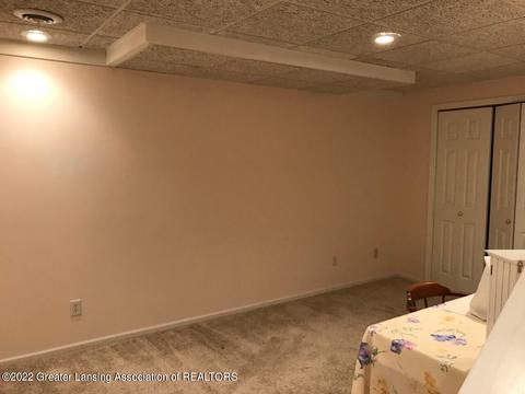 3942 White Pine Dr, Dewitt, MI 48820 photo 26