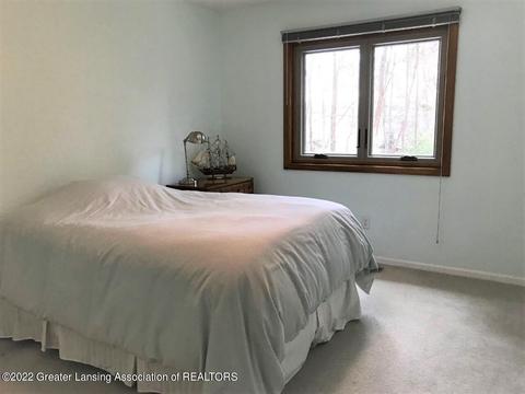 3942 White Pine Dr, Dewitt, MI 48820 photo 25